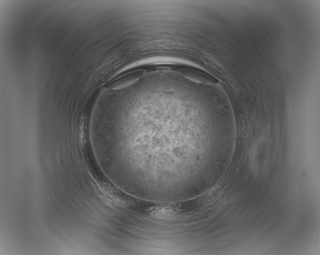 X0000052640074200507082016