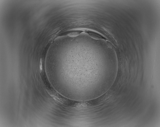 X0000052640075200507082016