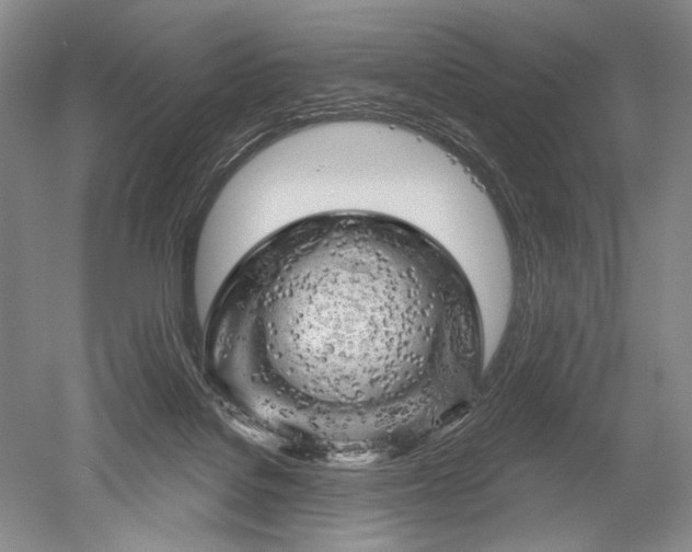 X0000052640076200507082016