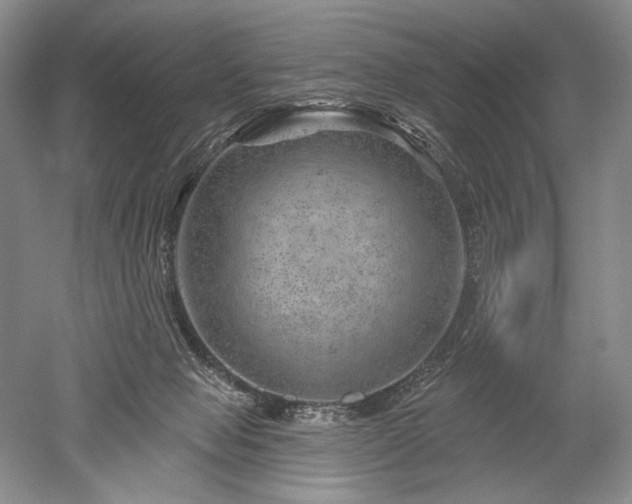 X0000052640077200507082016