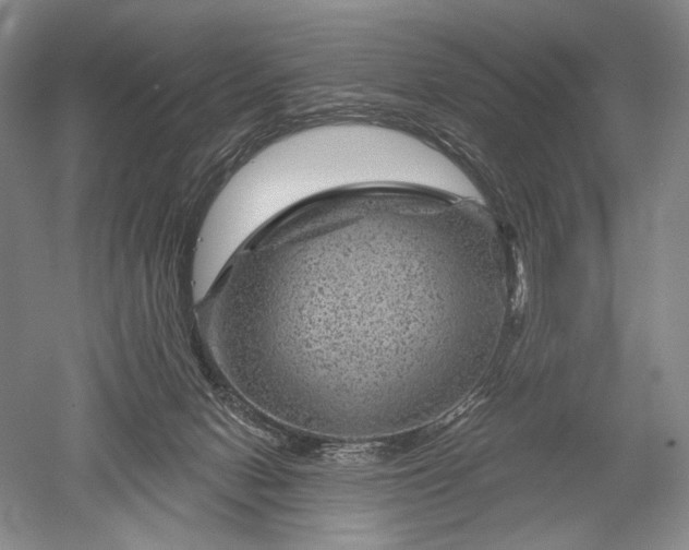 X0000052640078200507082016