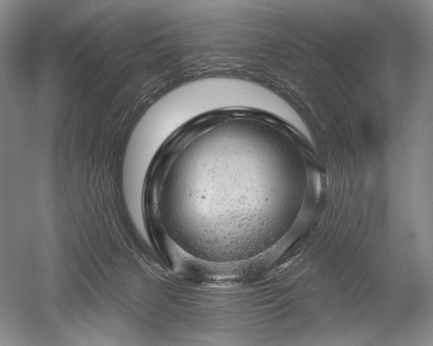 X0000052640079200507082016