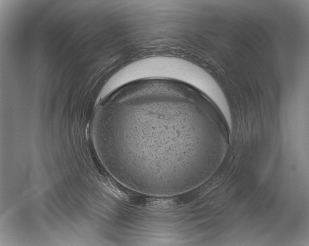 X0000052640081200507082017