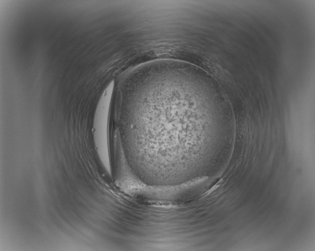 X0000052640082200507082017