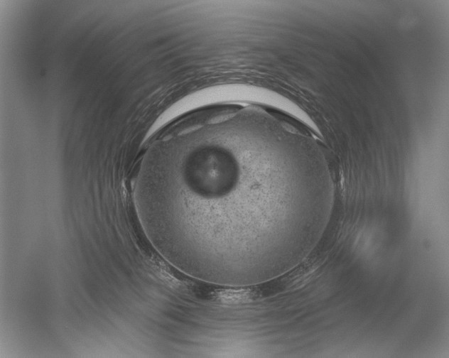 X0000052640085200507082017