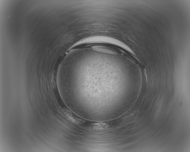 X0000052640087200507082017