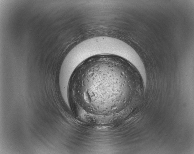 X0000052640088200507082017