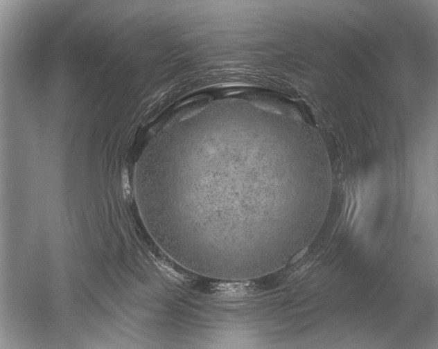 X0000052640089200507082017