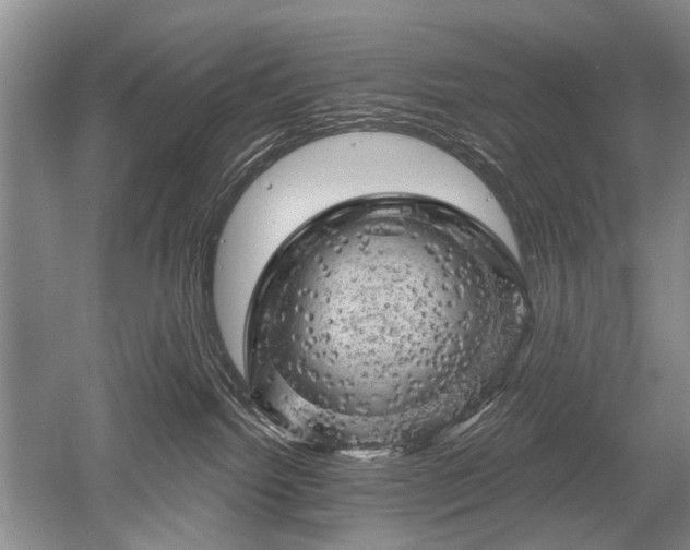 X0000052640092200507082017