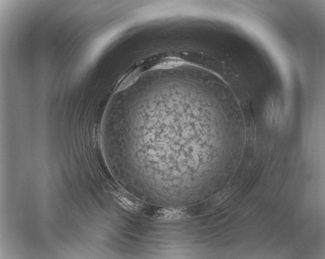 X0000052640093200507082017