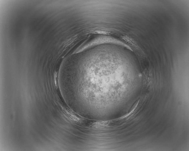 X0000052640094200507082017