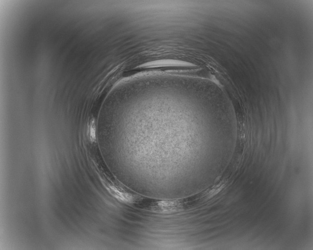 X0000052640095200507082017