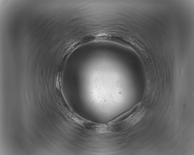 X0000052640096200507082017