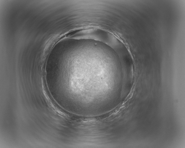 X0000052640097200507082016