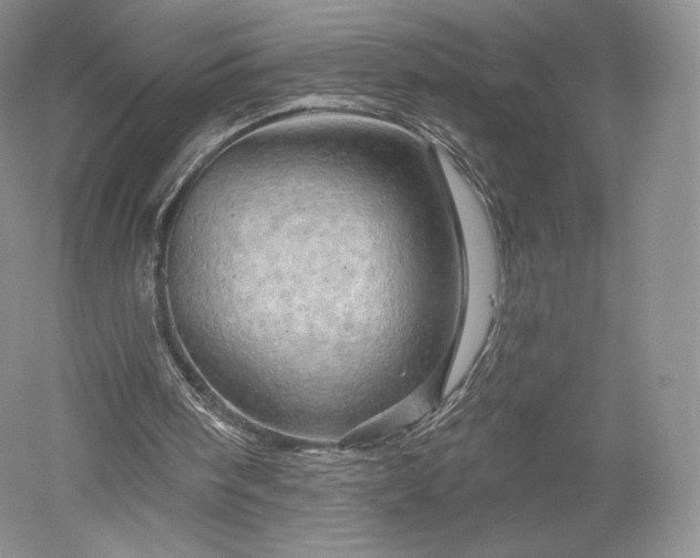 X0000052640098200507082016