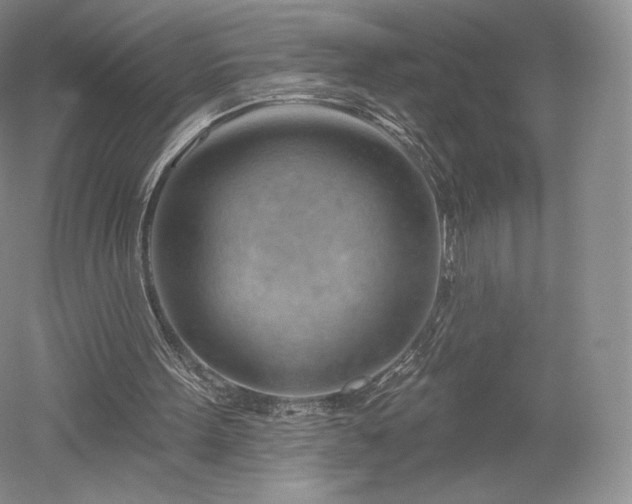 X0000052640099200507082016