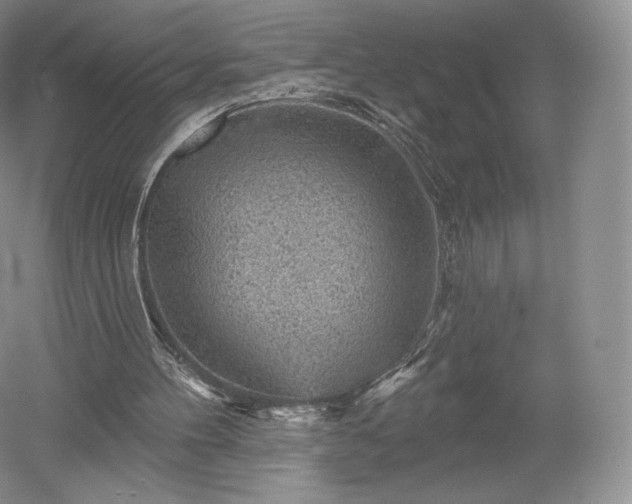 X0000052640100200507082016