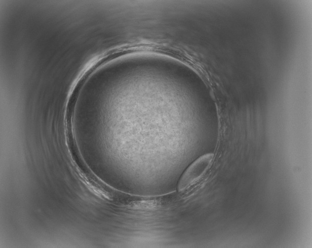 X0000052640102200507082016