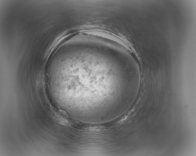 X0000052640103200507082016