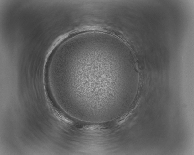 X0000052640104200507082016