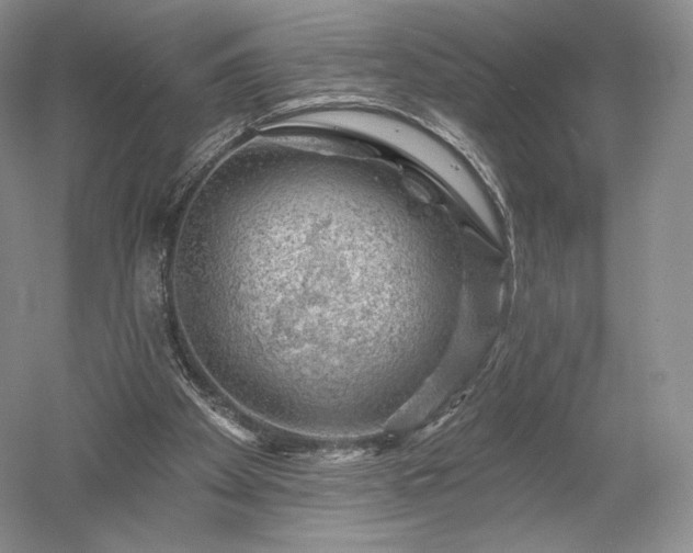 X0000052640105200507082016