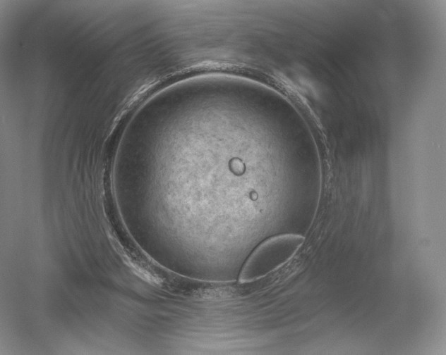 X0000052640106200507082016