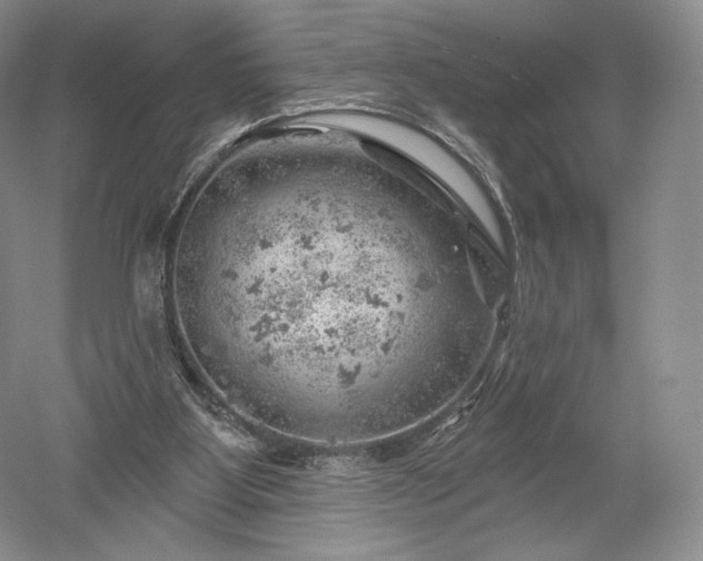 X0000052640107200507082016