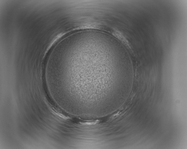 X0000052640108200507082016