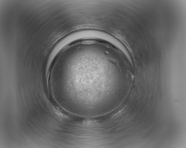 X0000052640109200507082016