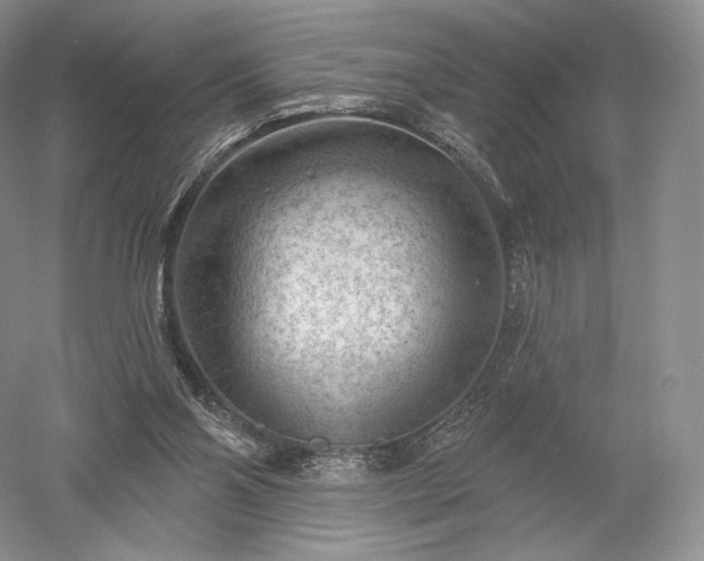 X0000052640110200507082016