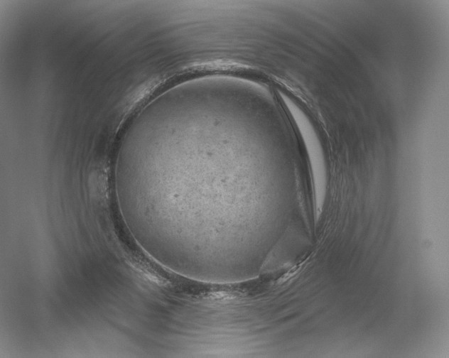 X0000052640111200507082016