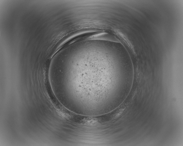 X0000052640113200507082016