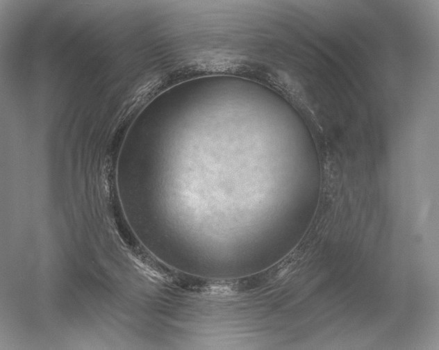 X0000052640114200507082016