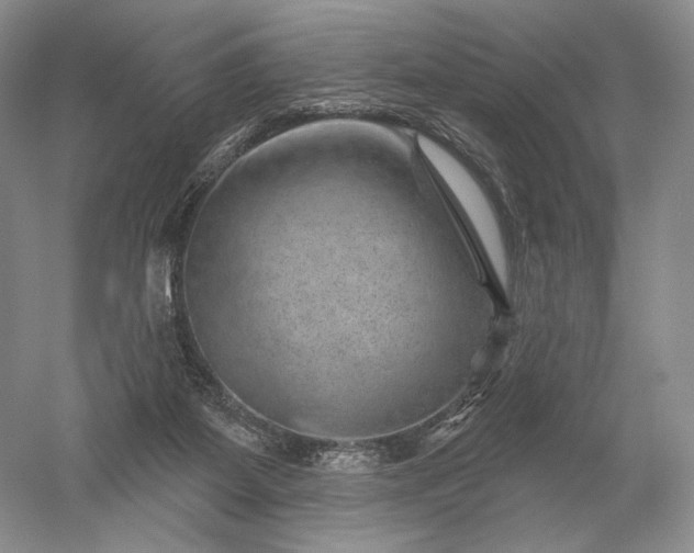 X0000052640115200507082016