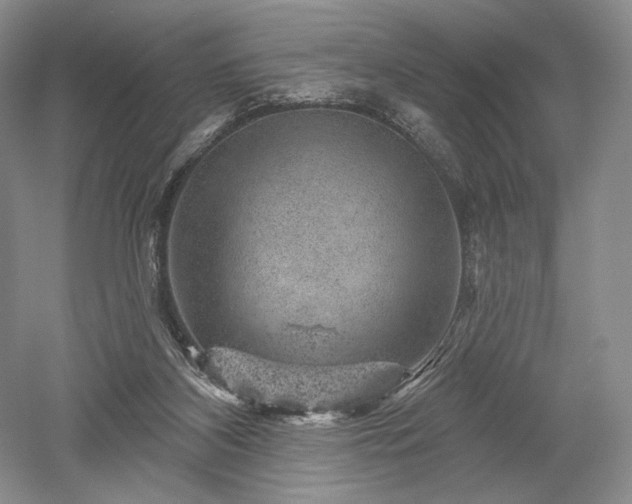 X0000052640116200507082016