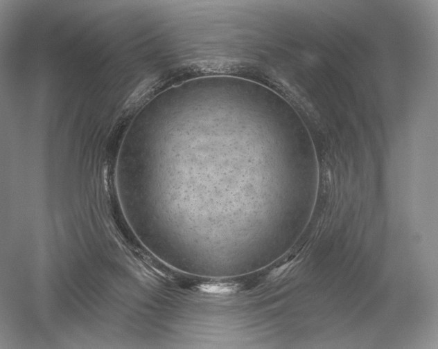 X0000052640117200507082016