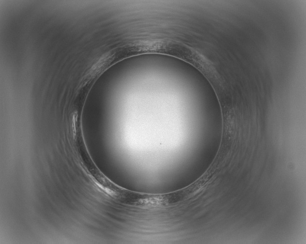 X0000052640118200507082016