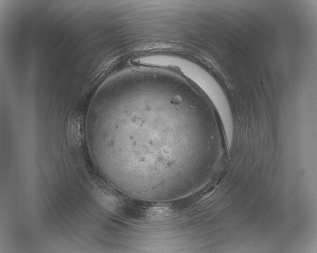 X0000052640119200507082016