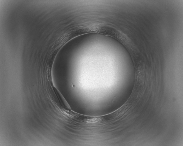 X0000052640122200507082015