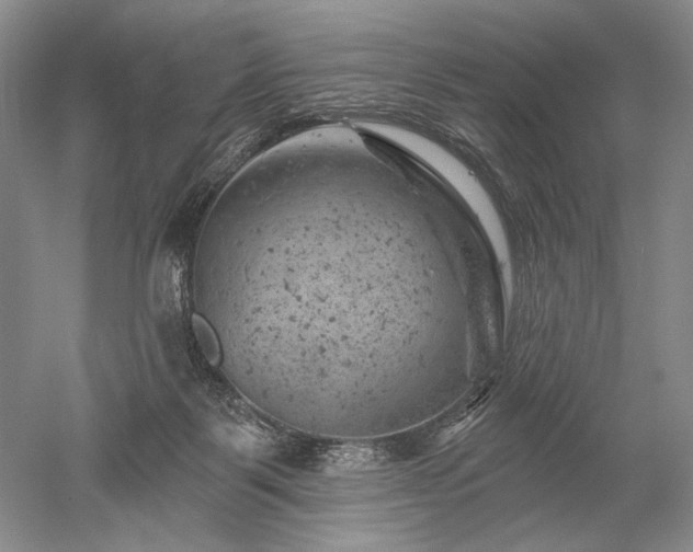 X0000052640123200507082015