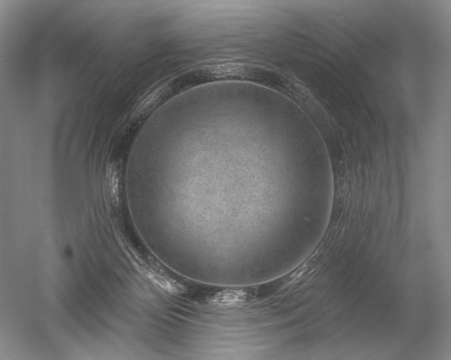 X0000052640124200507082015