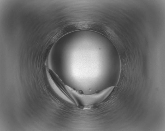 X0000052640125200507082015