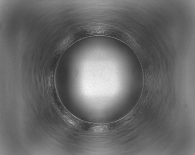 X0000052640126200507082015