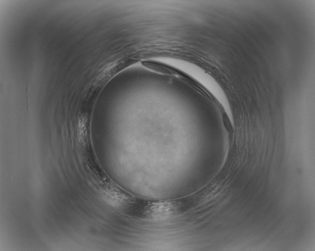 X0000052640127200507082015