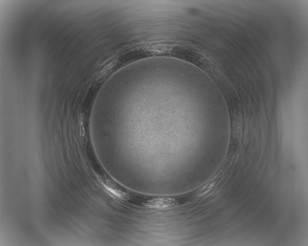 X0000052640128200507082015