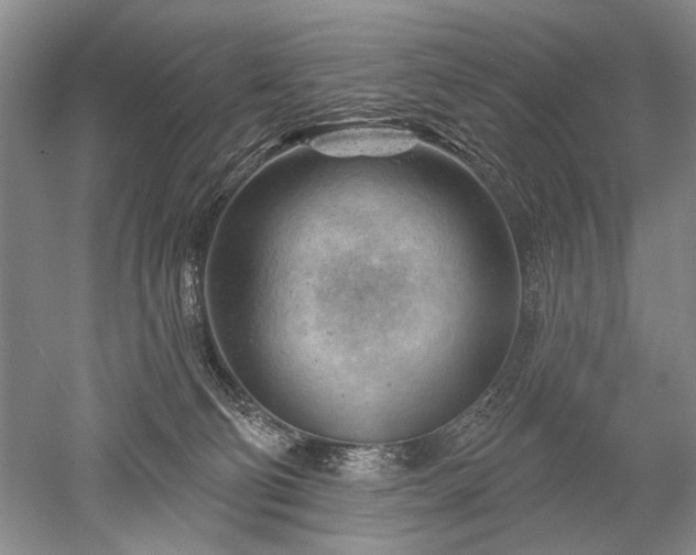 X0000052640130200507082015