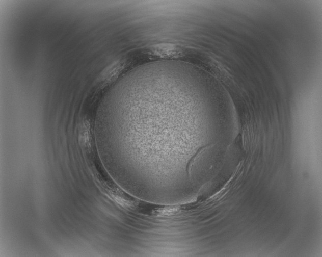 X0000052640132200507082015