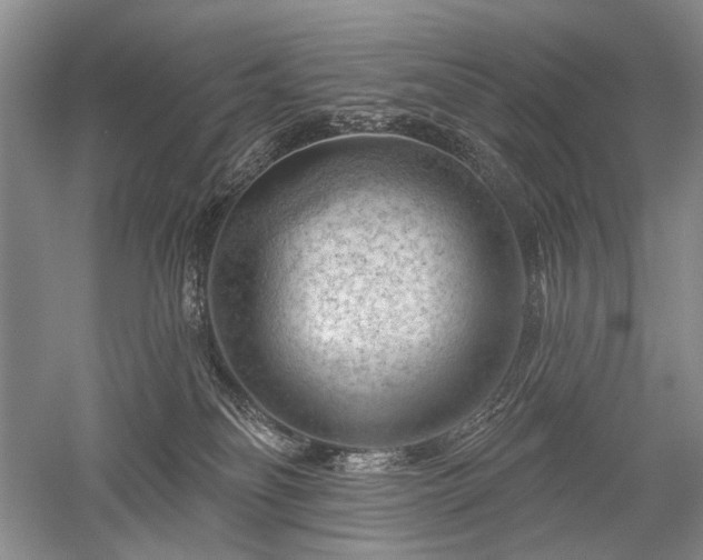 X0000052640134200507082015