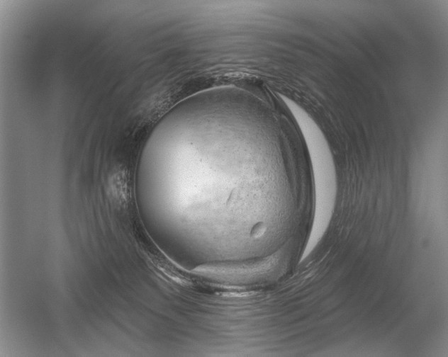 X0000052640135200507082015