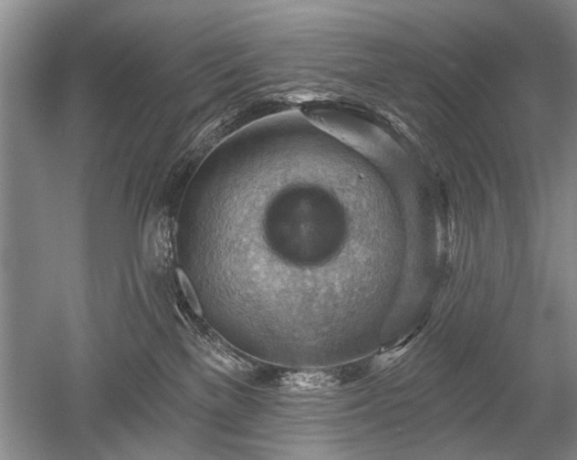 X0000052640137200507082015